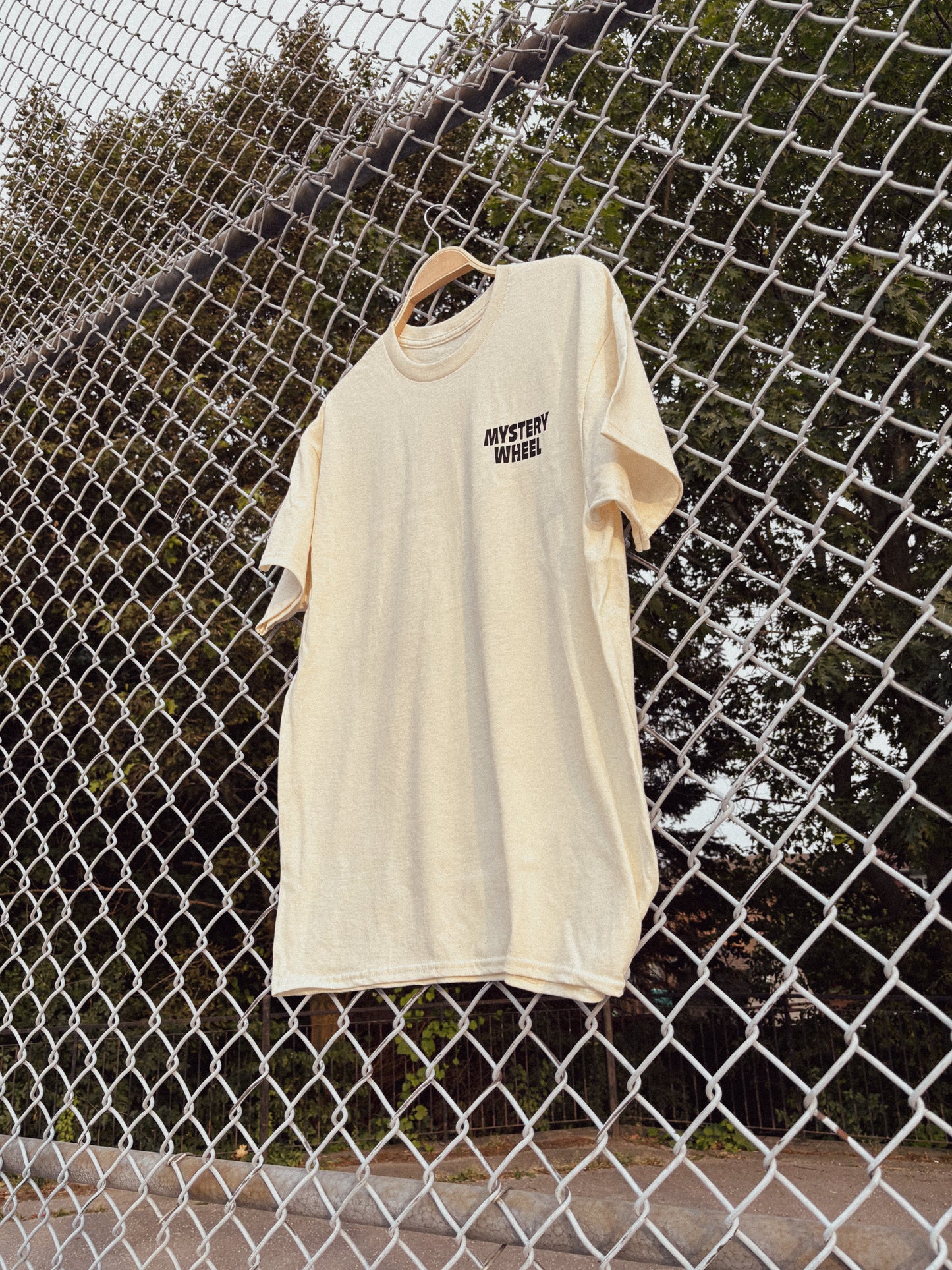 Mystery Wheel Essential T-shirt